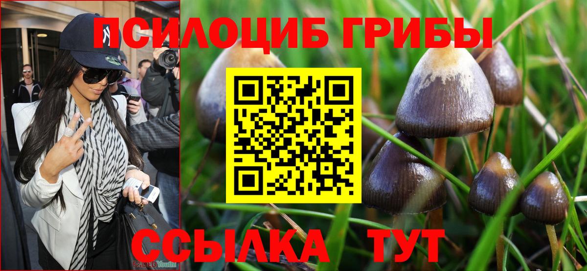 Псилоцибиновые грибы Cubensis Сызрань